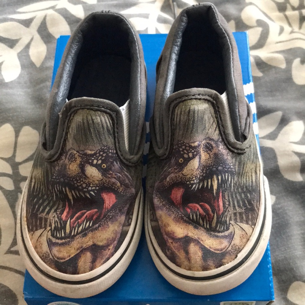 Vans slip on